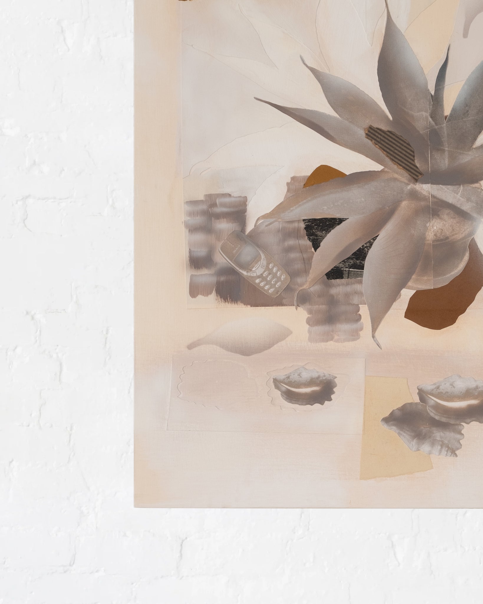 Clay Shells